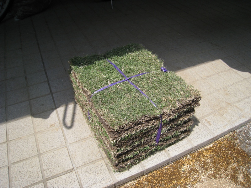 http://www.kayukawa.com/IMG_0461s.jpg