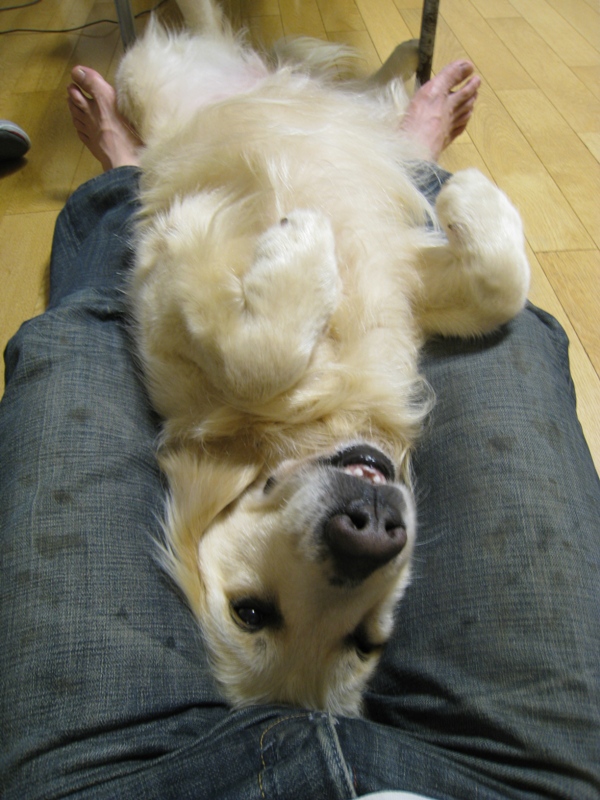 http://www.kayukawa.com/IMG_0465.JPG