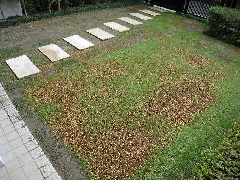 http://www.kayukawa.com/IMG_0479.jpg