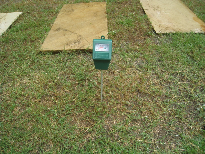 http://www.kayukawa.com/IMG_0768.JPG