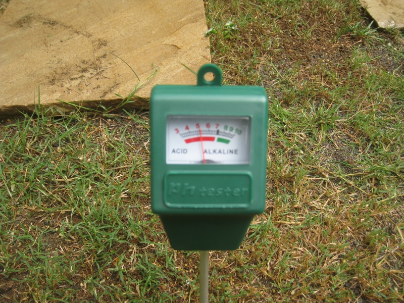 http://www.kayukawa.com/IMG_0769.JPG