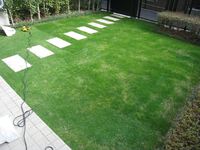 IMG_1140r.JPG